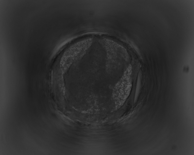 X0000091881352200710031112