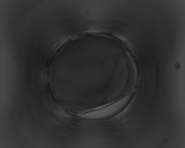 X0000091881353200710031112