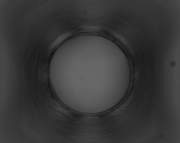 X0000091881354200710031112