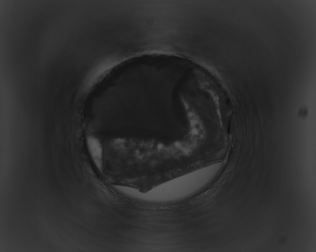 X0000091881359200710031112