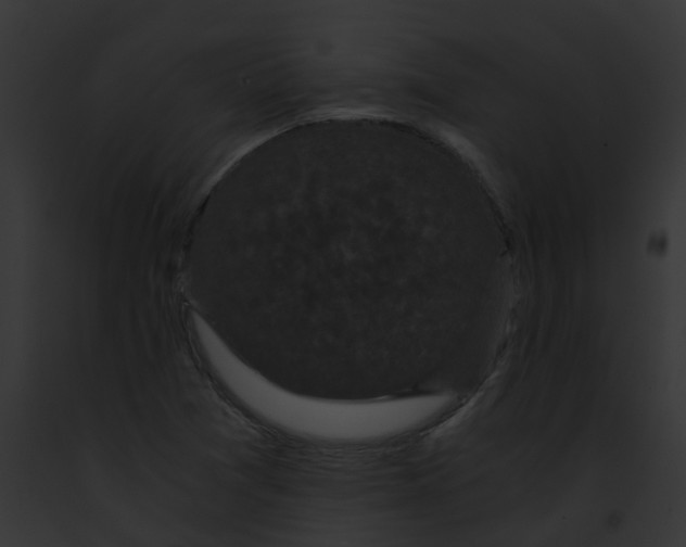 X0000091881361200710031112