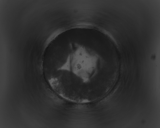 X0000091881362200710031112