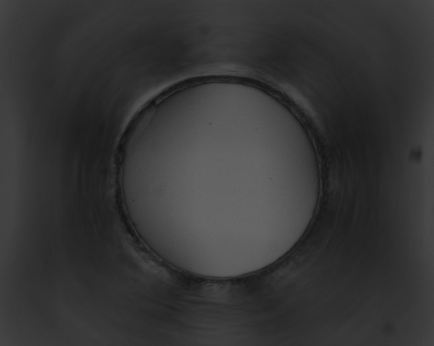 X0000091881364200710031112