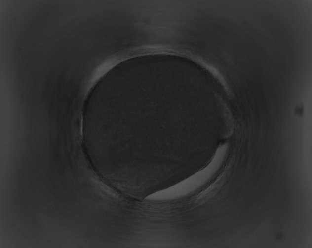 X0000091881365200710031112