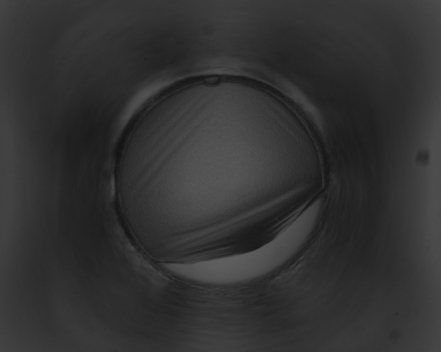 X0000091881368200710031112