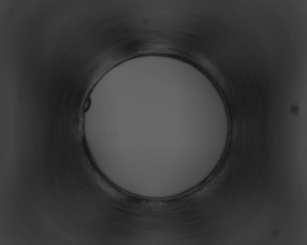 X0000091881370200710031112