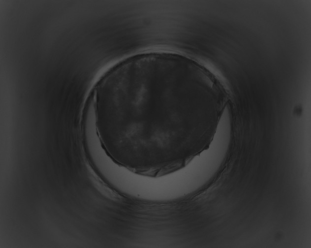 X0000091881372200710031112