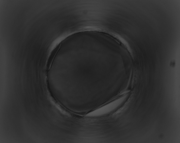 X0000091881373200710031112