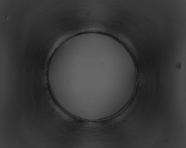 X0000091881374200710031112