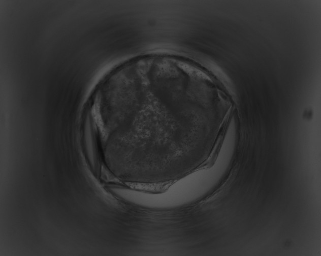 X0000091881376200710031112