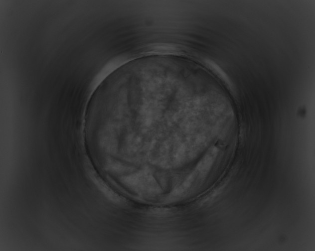 X0000091881378200710031112