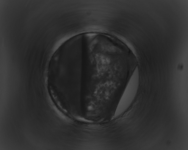 X0000091881383200710031112