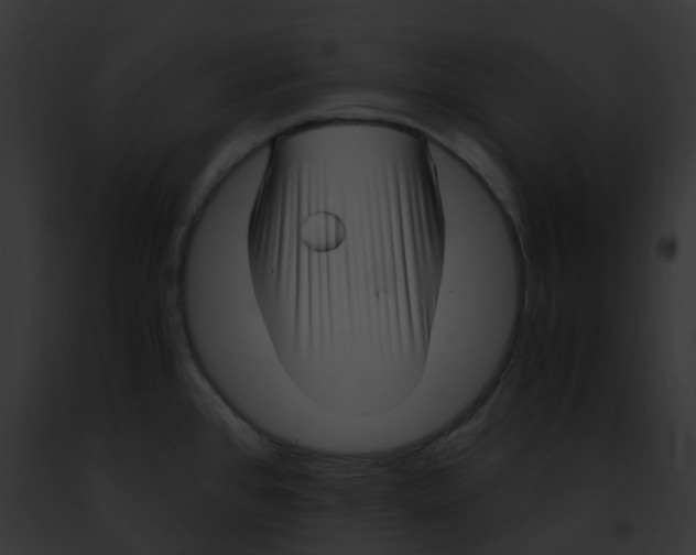 X0000091881384200710031112