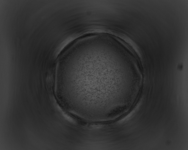 X0000091881385200710031112