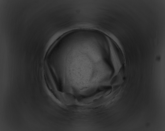 X0000091881389200710031112