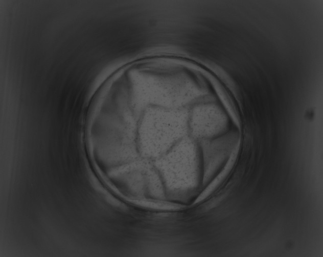 X0000091881390200710031112