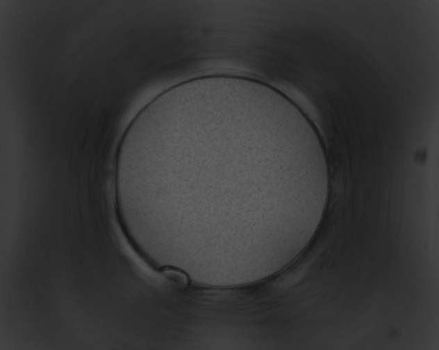 X0000091881391200710031112