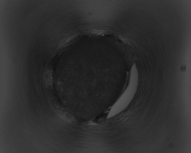 X0000091881394200710031111