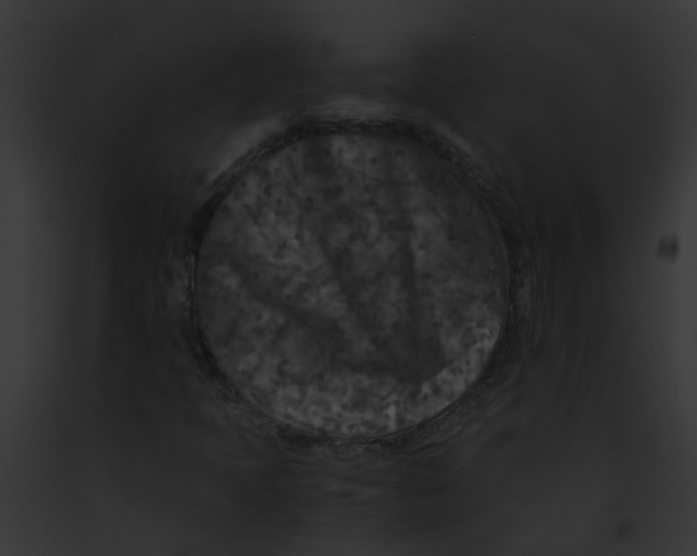 X0000091881397200710031111