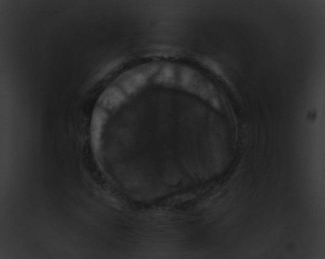 X0000091881399200710031111