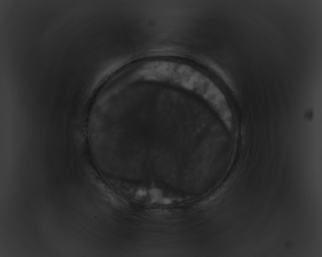 X0000091881405200710031111