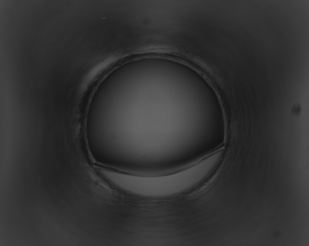 X0000091881406200710031111