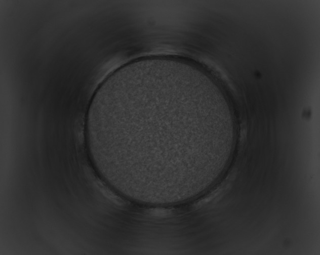 X0000091881409200710031111