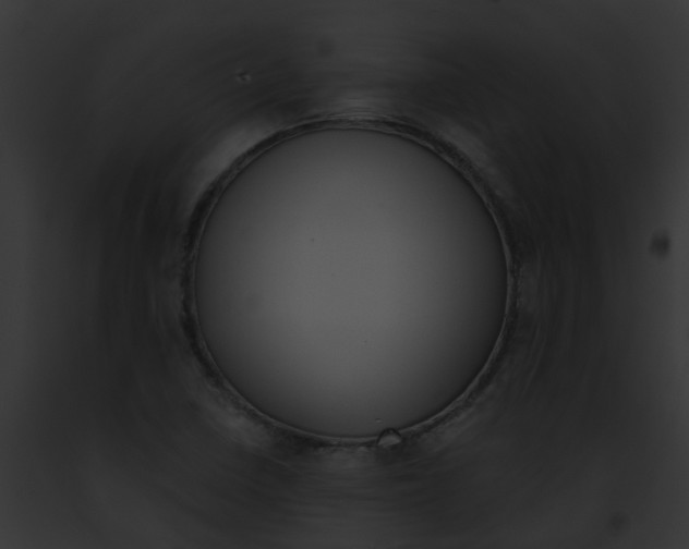 X0000091881410200710031112