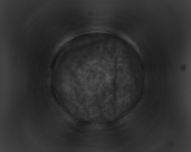 X0000091881411200710031112