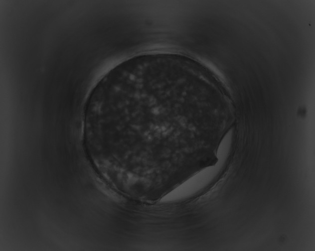 X0000091881413200710031112