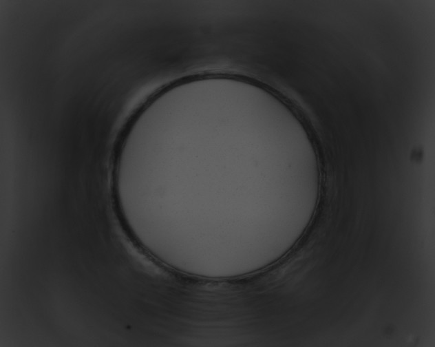 X0000091881416200710031112