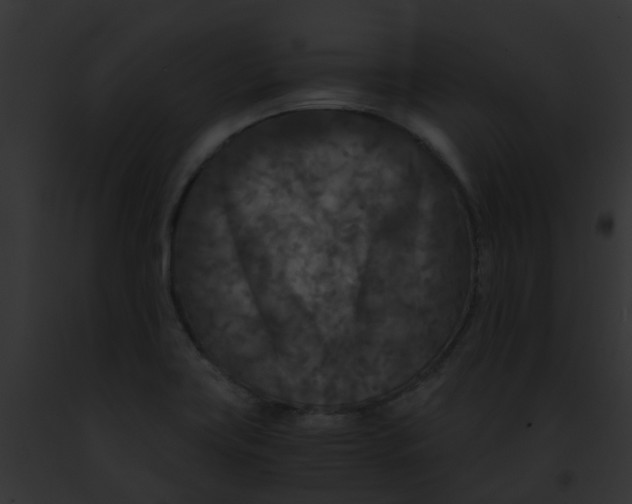 X0000091881419200710031112