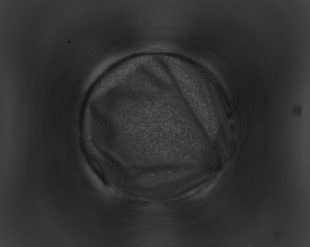 X0000091881422200710031112