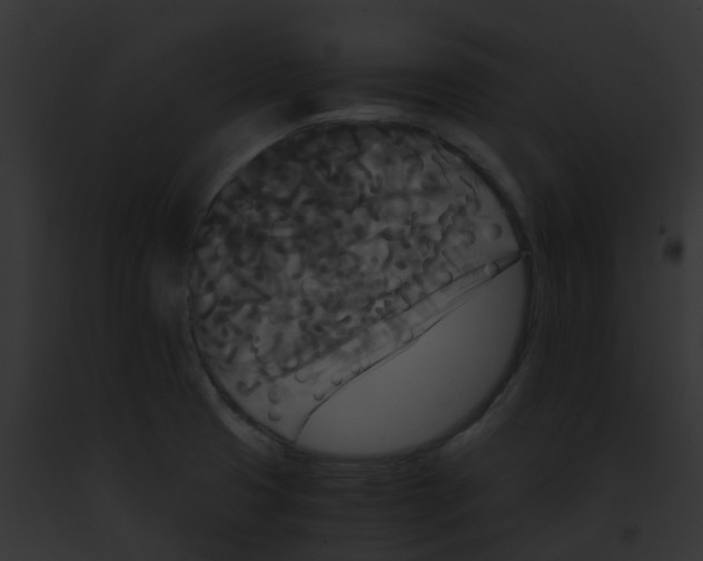 X0000091881425200710031112