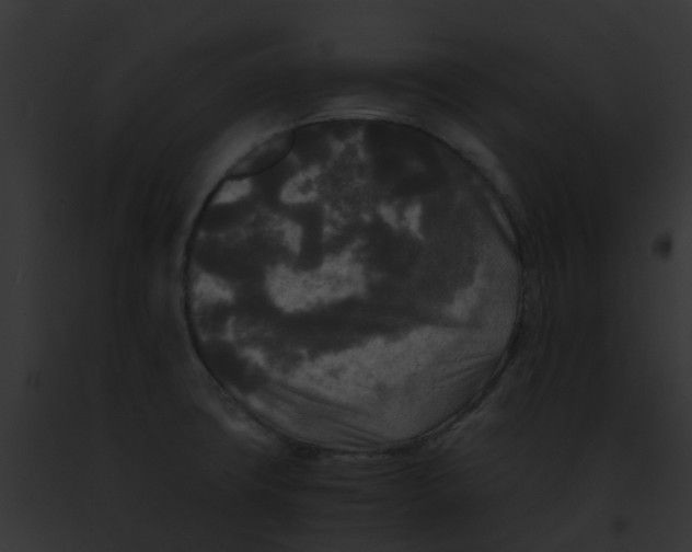 X0000091881427200710031112