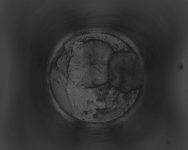 X0000091881429200710031112