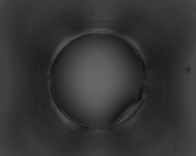 X0000091881430200710031112