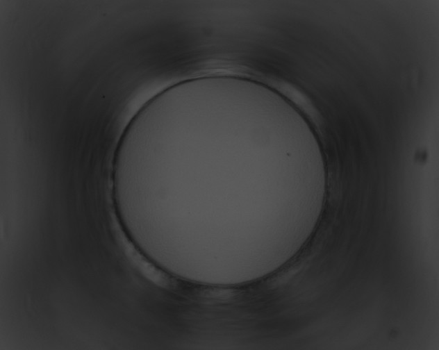 X0000091881431200710031112