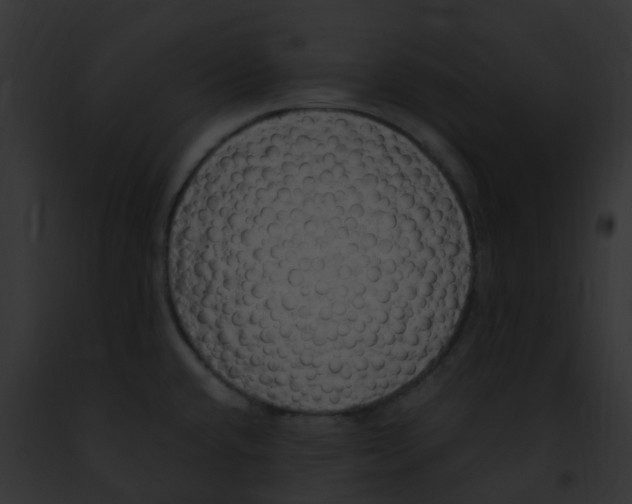 X0000091881432200710031112