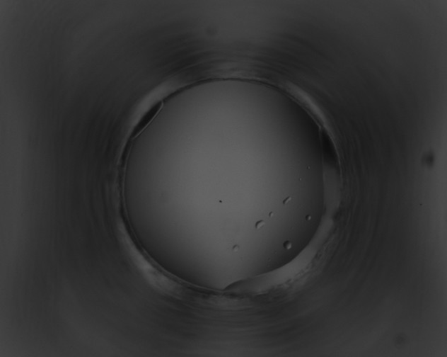 X0000091881434200710031112