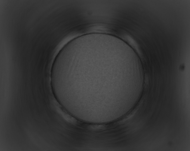 X0000091881435200710031112