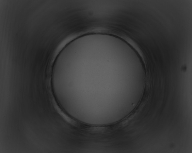 X0000091881437200710031112