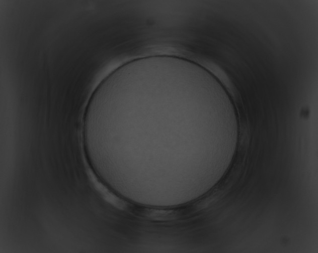 X0000091881439200710031112