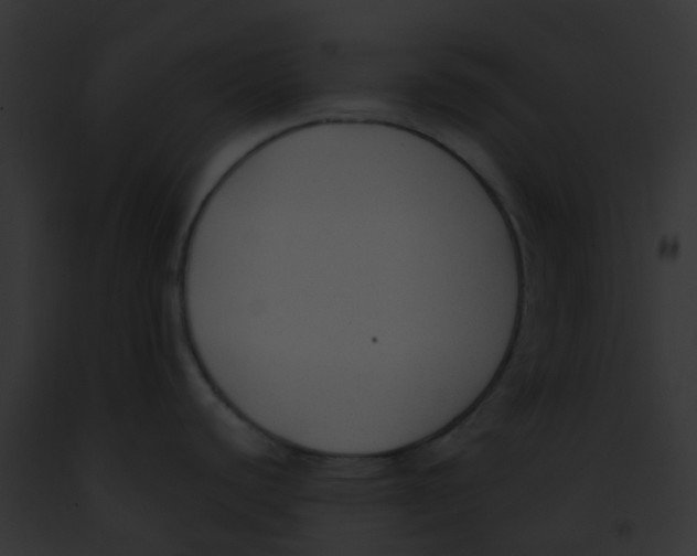 X0000091881440200710031112