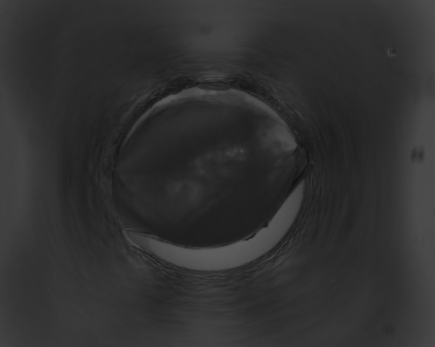 X0000091881441200710031111