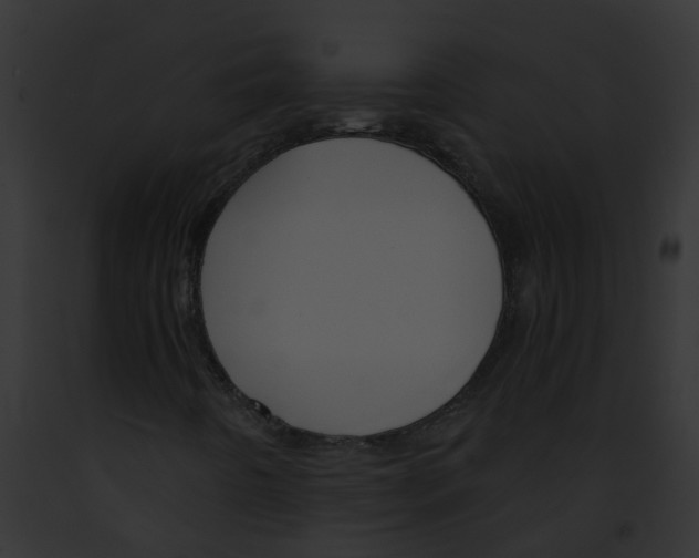 X0000091881442200710031111