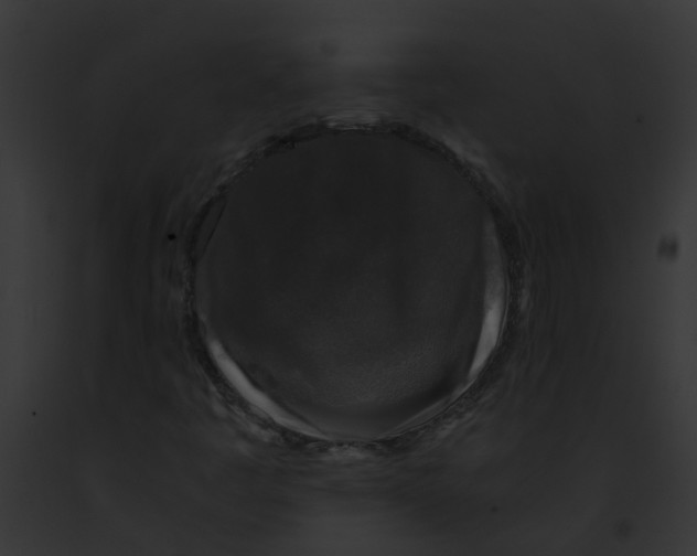 X0000091881445200710031111