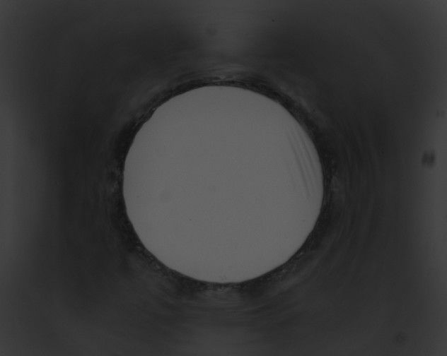 X0000091881447200710031111