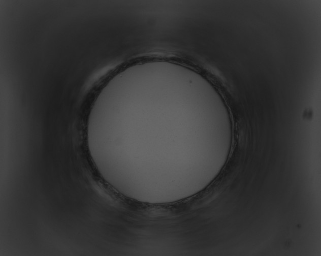 X0000091881448200710031111