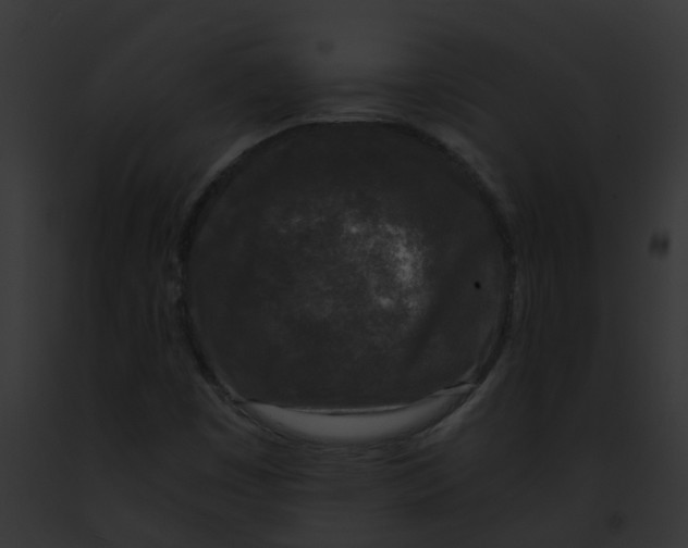 X0000091881449200710031111